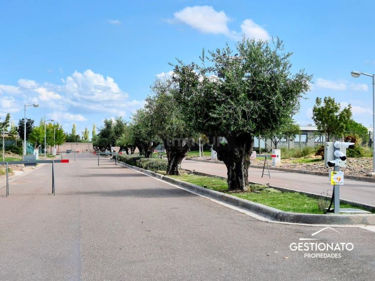 Lote en Venta en Maipu, Mendoza