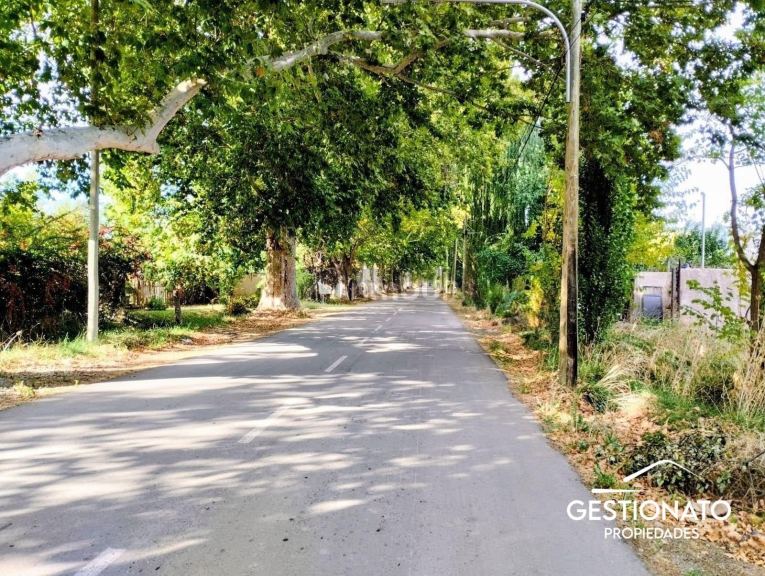 Lote en Venta en Lujan de Cuyo, Mendoza