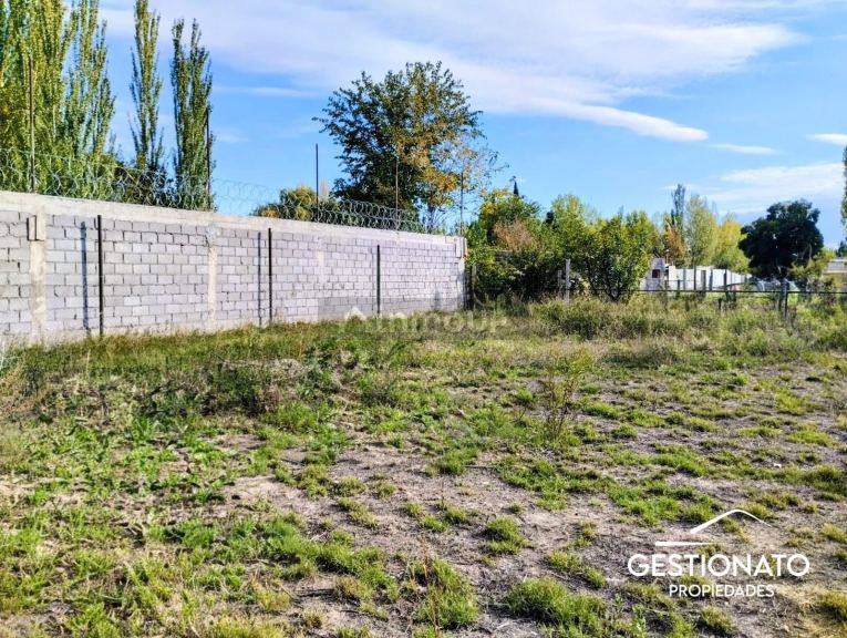 Lote en Venta en Lujan de Cuyo, Mendoza