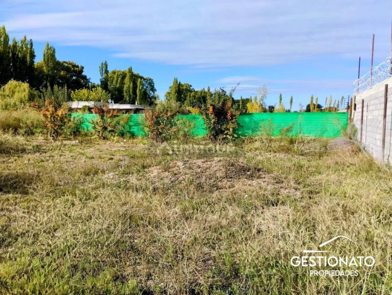Lote en Venta en Lujan de Cuyo, Mendoza