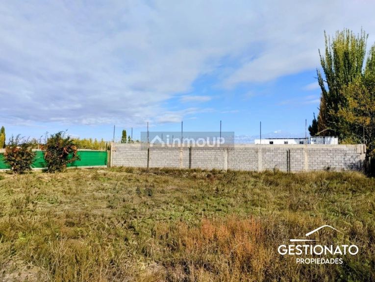 Lote en Venta en Lujan de Cuyo, Mendoza