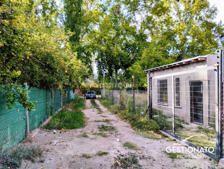 Lote en Venta en Lujan de Cuyo, Mendoza
