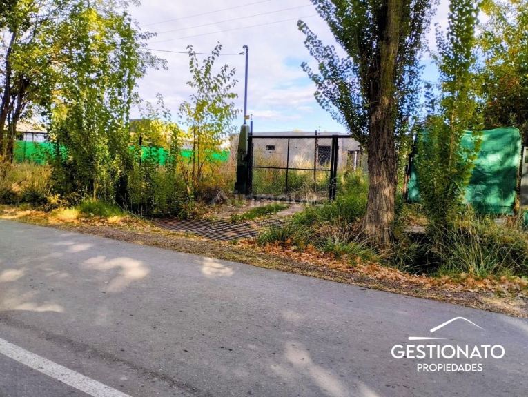 Lote en Venta en Lujan de Cuyo, Mendoza