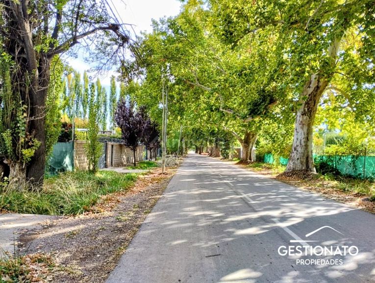 Lote en Venta en Lujan de Cuyo, Mendoza