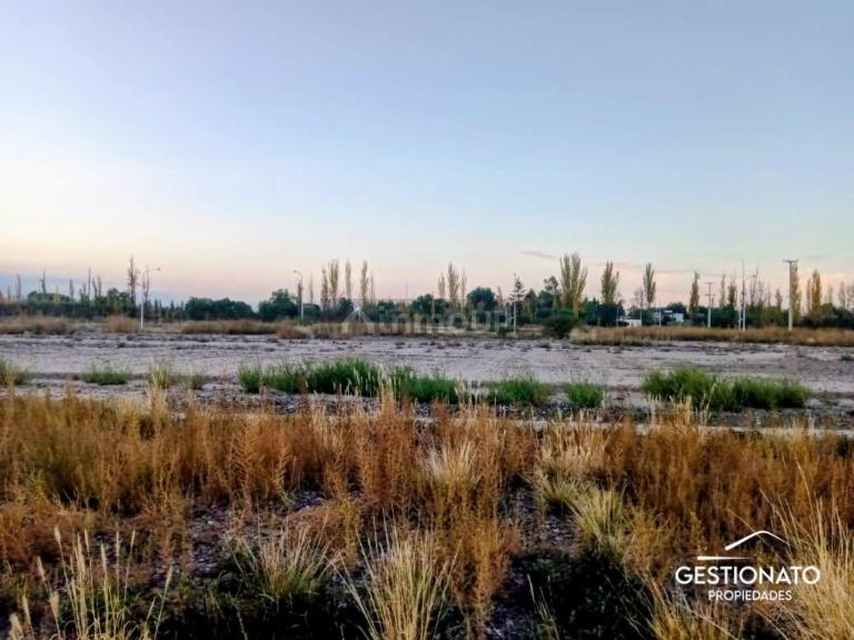 Lote en Venta en Maipu, Mendoza