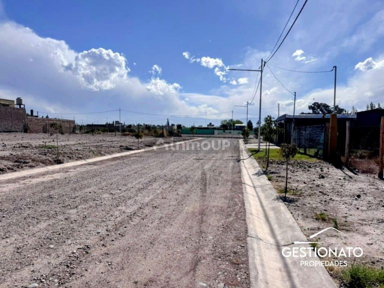 Lote en Venta en Maipu, Mendoza