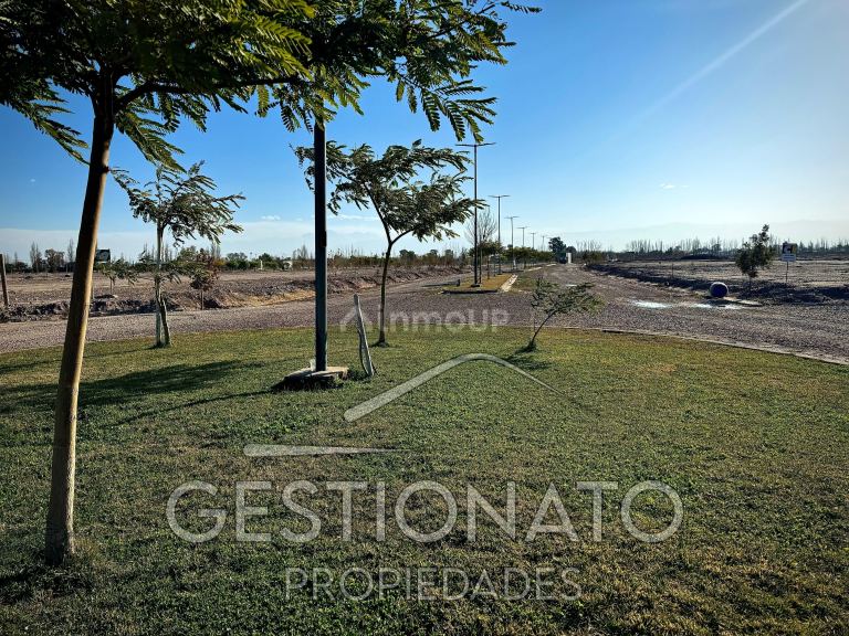 Lote en Venta en Maipu, Mendoza