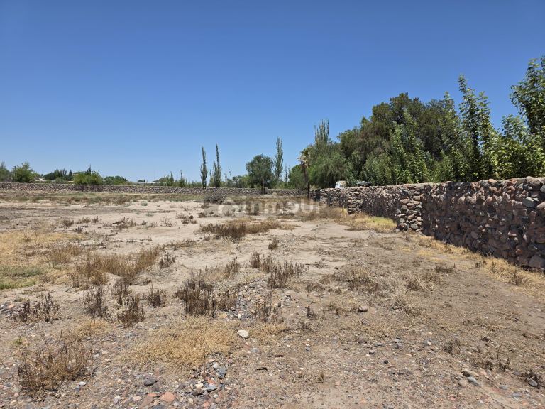 Terreno en Venta en Rivadavia, Mendoza