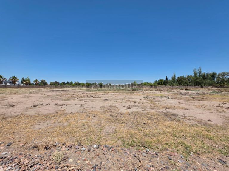 Terreno en Venta en Rivadavia, Mendoza