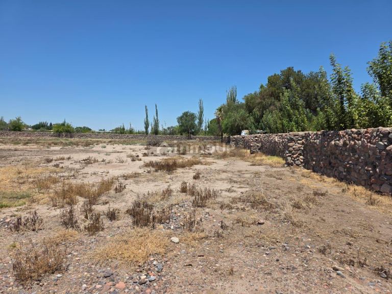 Terreno en Venta en Rivadavia, Mendoza