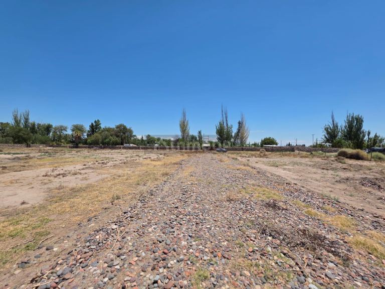 Terreno en Venta en Rivadavia, Mendoza