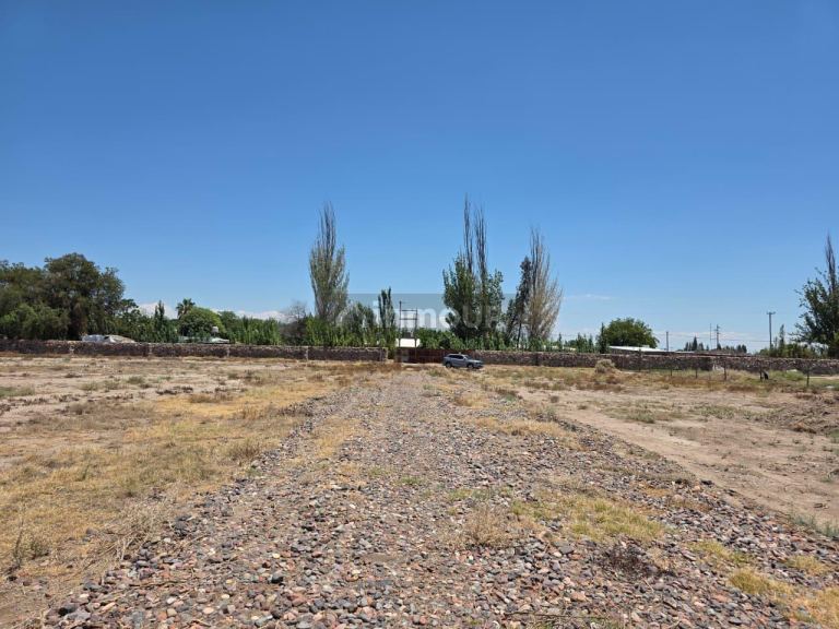 Terreno en Venta en Rivadavia, Mendoza