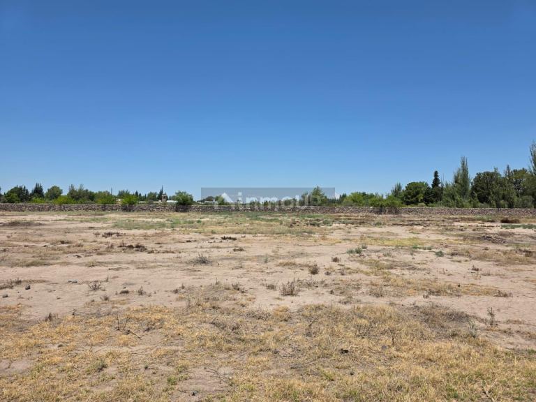 Terreno en Venta en Rivadavia, Mendoza