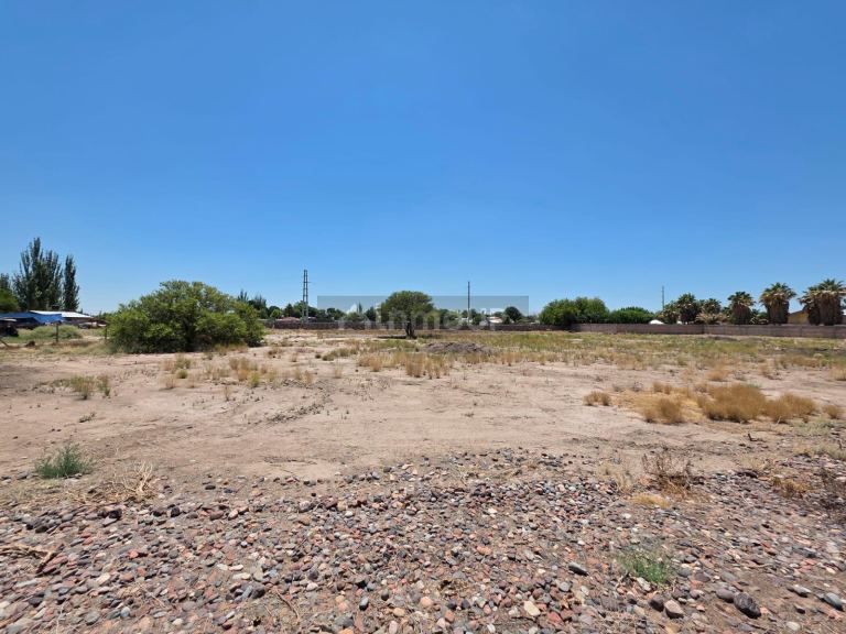 Terreno en Venta en Rivadavia, Mendoza