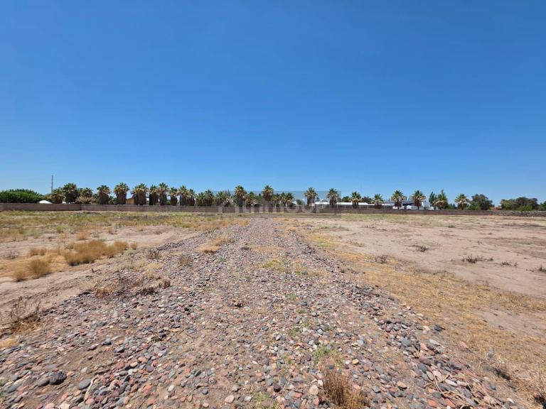 Terreno en Venta en Rivadavia, Mendoza