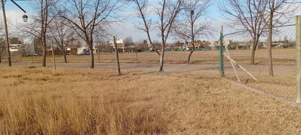 Lote en Venta en Lujan de Cuyo, Mendoza