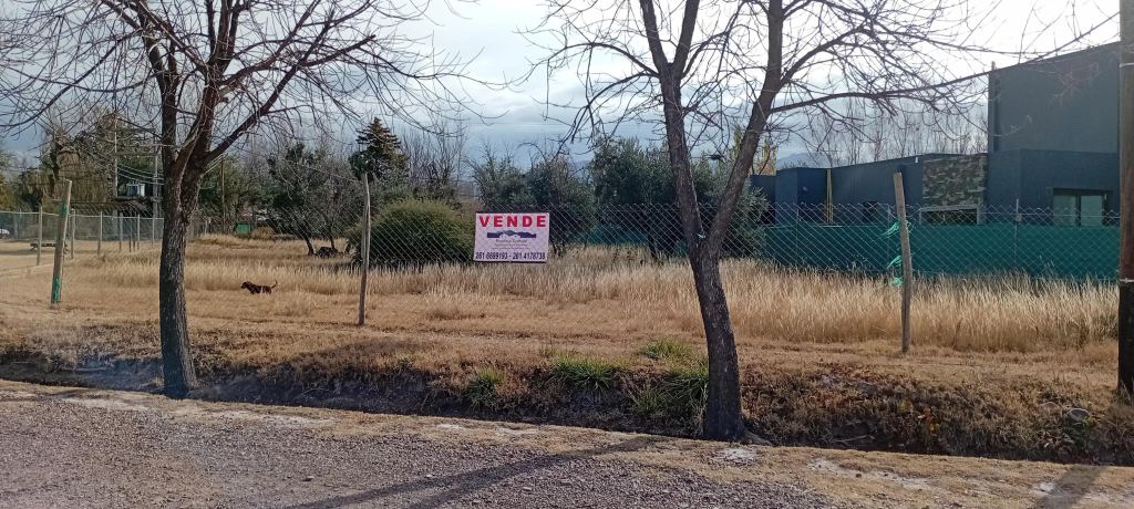 Lote en Venta en Lujan de Cuyo, Mendoza