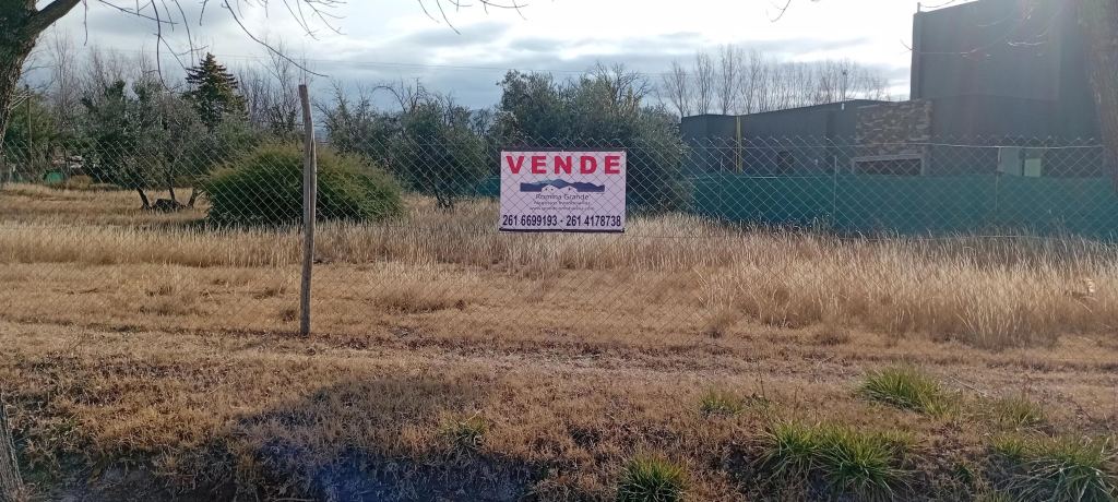 Lote en Venta en Lujan de Cuyo, Mendoza
