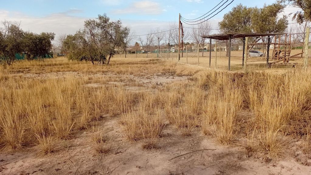 Lote en Venta en Lujan de Cuyo, Mendoza