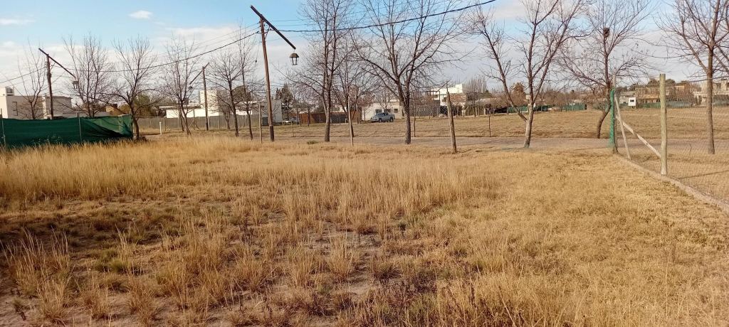 Lote en Venta en Lujan de Cuyo, Mendoza