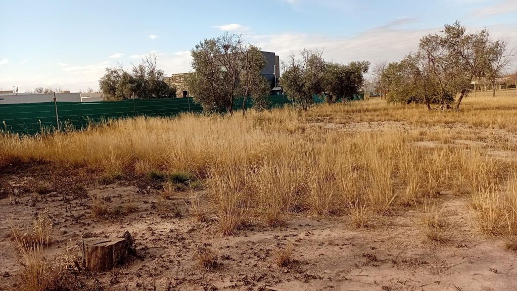 Lote en Venta en Lujan de Cuyo, Mendoza