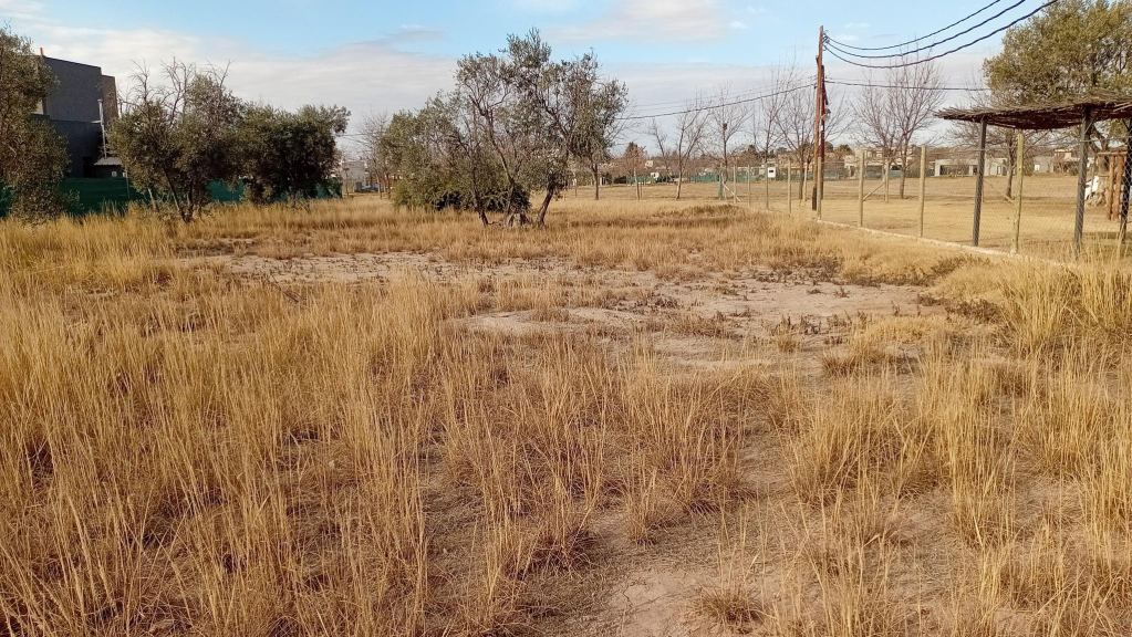 Lote en Venta en Lujan de Cuyo, Mendoza