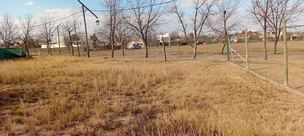 Lote en Venta en Lujan de Cuyo, Mendoza