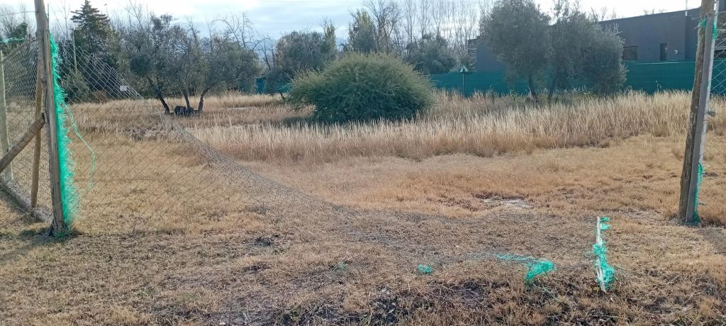 Lote en Venta en Lujan de Cuyo, Mendoza