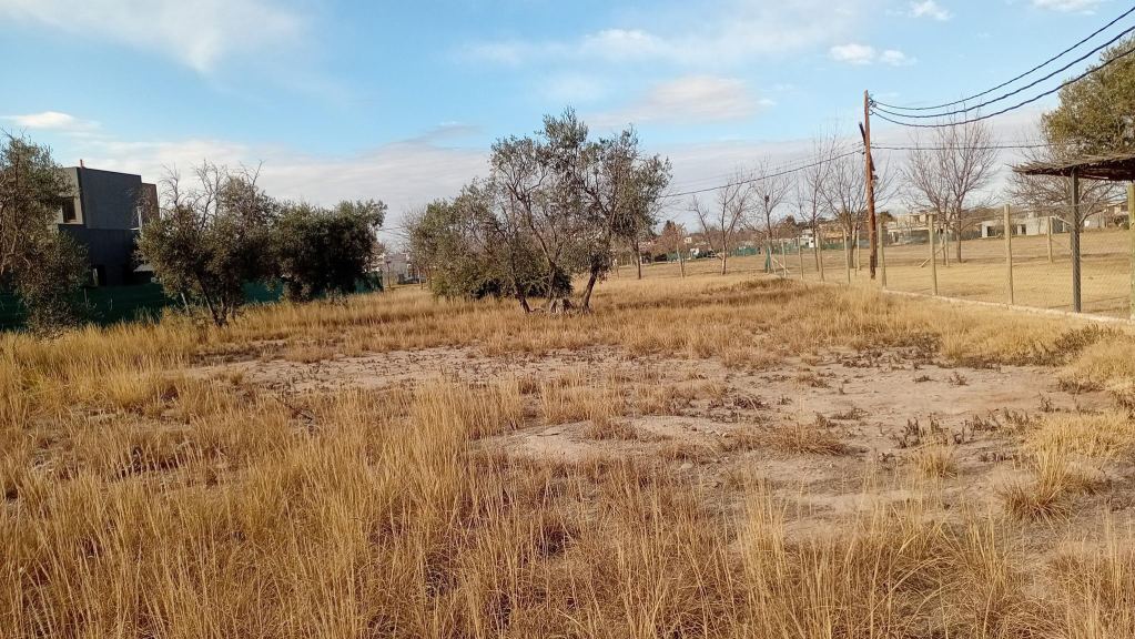 Lote en Venta en Lujan de Cuyo, Mendoza