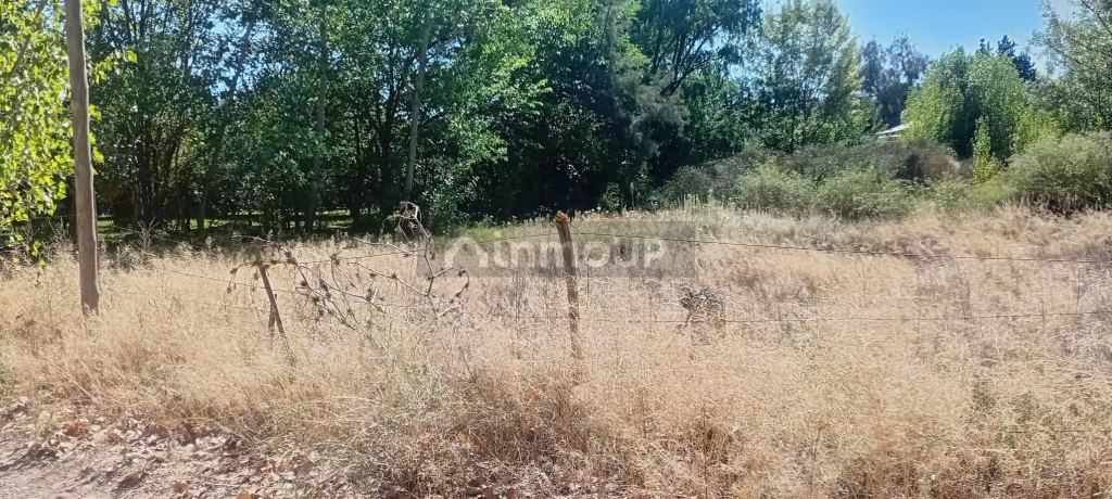 Lote en Venta en Lujan de Cuyo, Mendoza