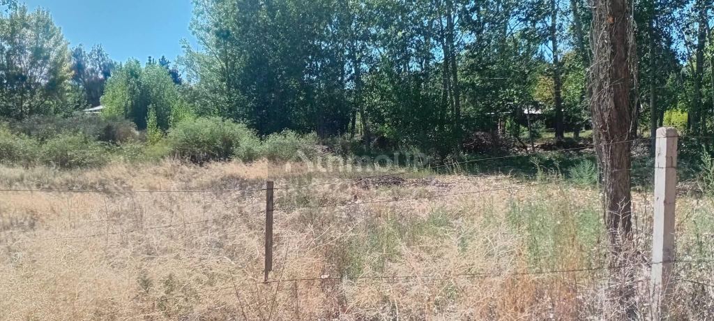 Lote en Venta en Lujan de Cuyo, Mendoza