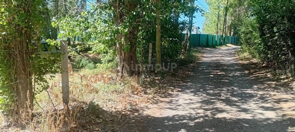 Lote en Venta en Lujan de Cuyo, Mendoza