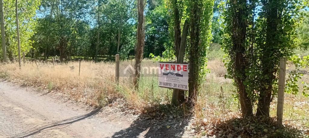 Lote en Venta en Lujan de Cuyo, Mendoza