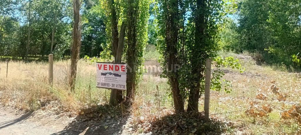 Lote en Venta en Lujan de Cuyo, Mendoza