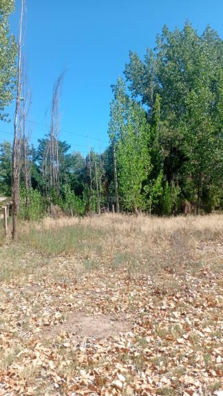 Lote en Venta en Lujan de Cuyo, Mendoza