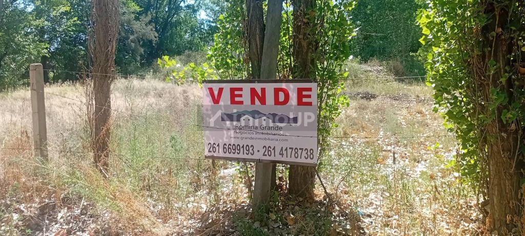 Lote en Venta en Lujan de Cuyo, Mendoza