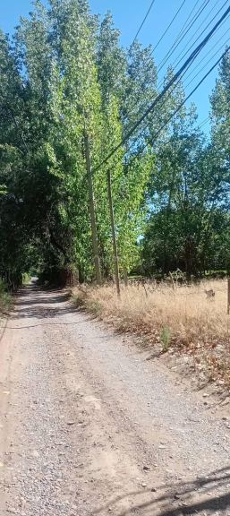 Lote en Venta en Lujan de Cuyo, Mendoza