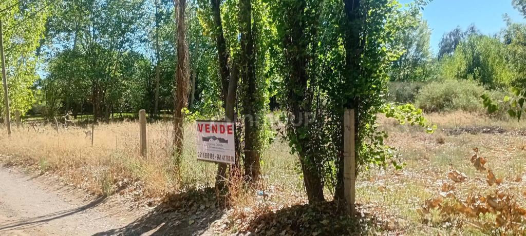 Lote en Venta en Lujan de Cuyo, Mendoza