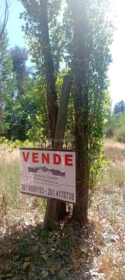 Lote en Venta en Lujan de Cuyo, Mendoza