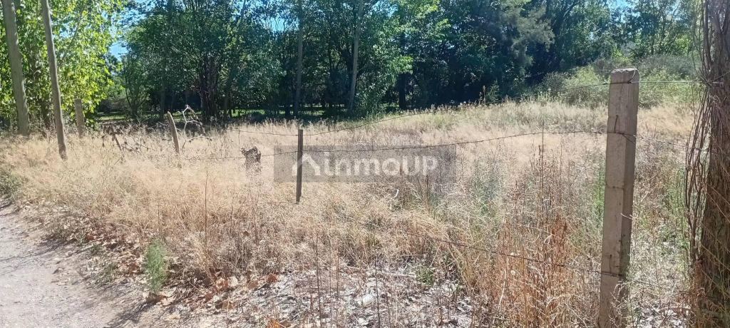 Lote en Venta en Lujan de Cuyo, Mendoza