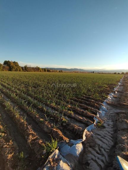 Finca en Venta en San Rafael, Mendoza