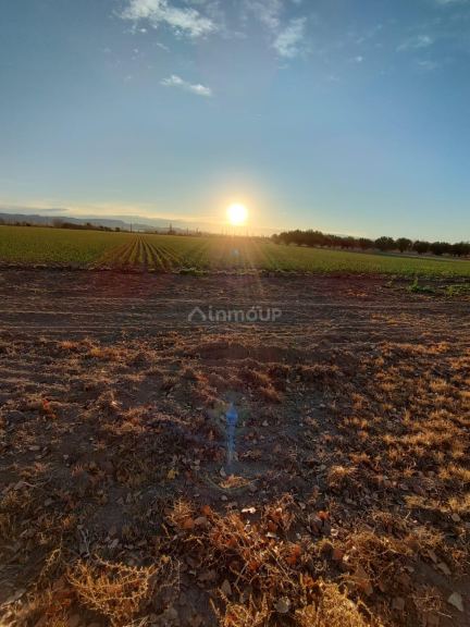 Finca en Venta en San Rafael, Mendoza