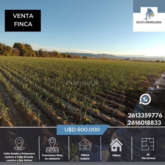 Finca en Venta en San Rafael, Mendoza
