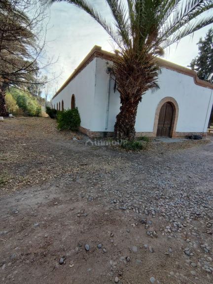 Bodega en Venta en San Rafael, Mendoza