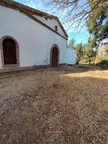 Bodega en Venta en San Rafael, Mendoza