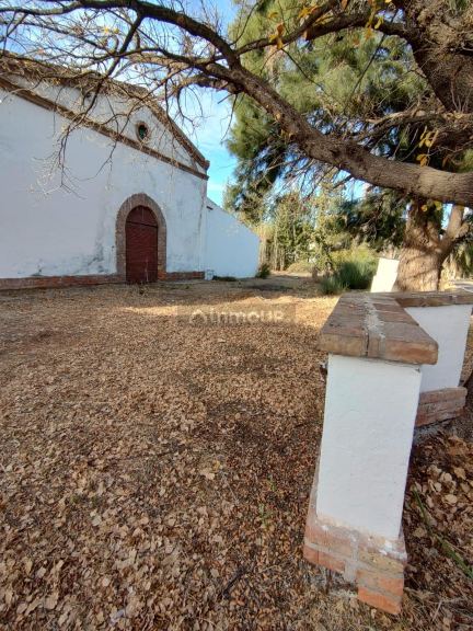 Bodega en Venta en San Rafael, Mendoza