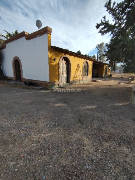 Bodega en Venta en San Rafael, Mendoza