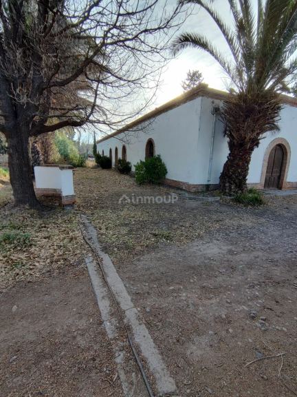Bodega en Venta en San Rafael, Mendoza