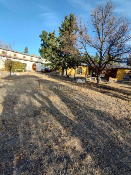 Bodega en Venta en San Rafael, Mendoza