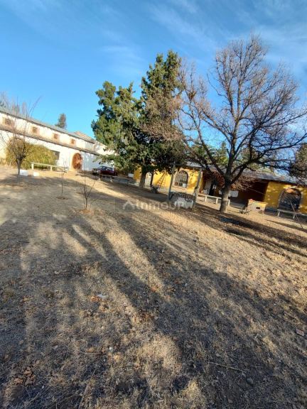 Bodega en Venta en San Rafael, Mendoza